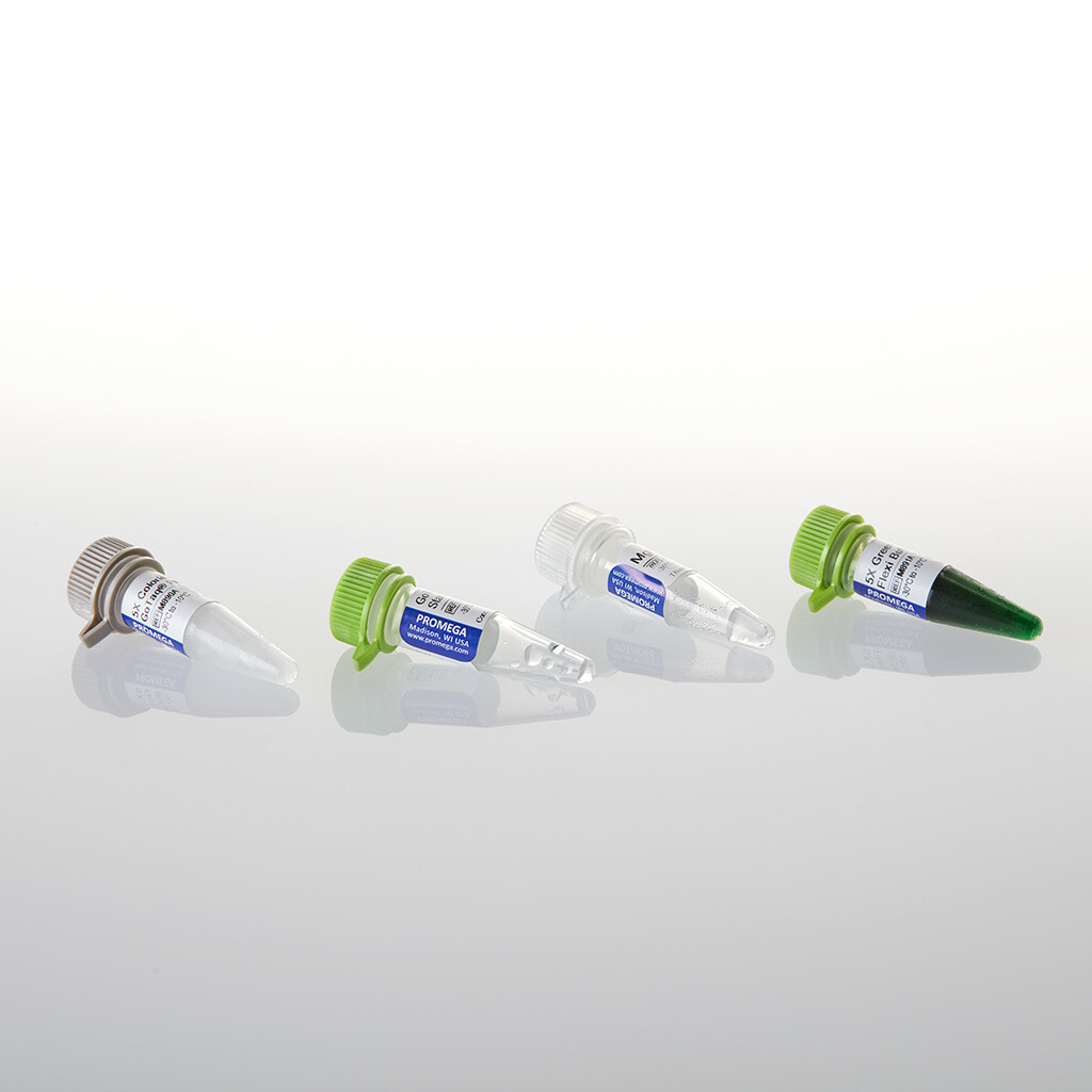 GoTaq MD x Hot Start Polymerase, 100 µ