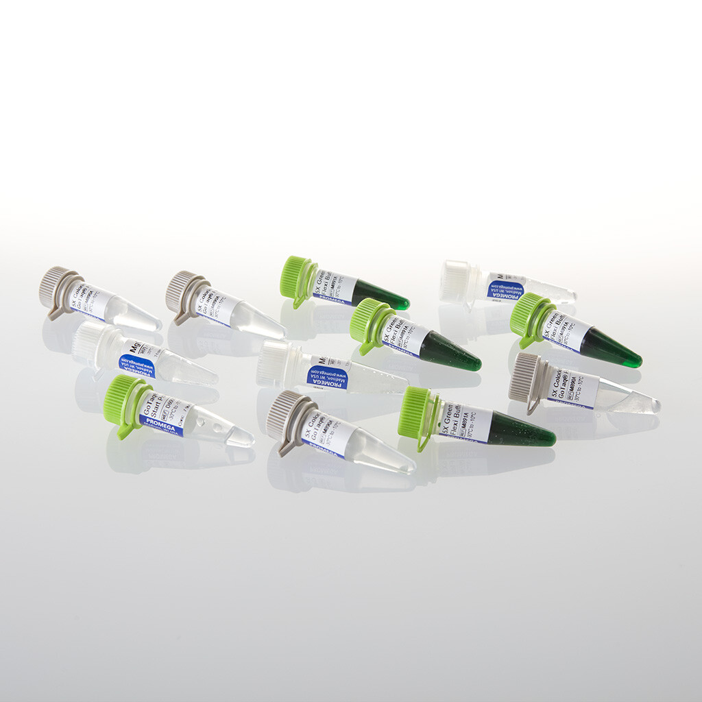 GoTaq MD x Hot Start Polymerase, 500 µ