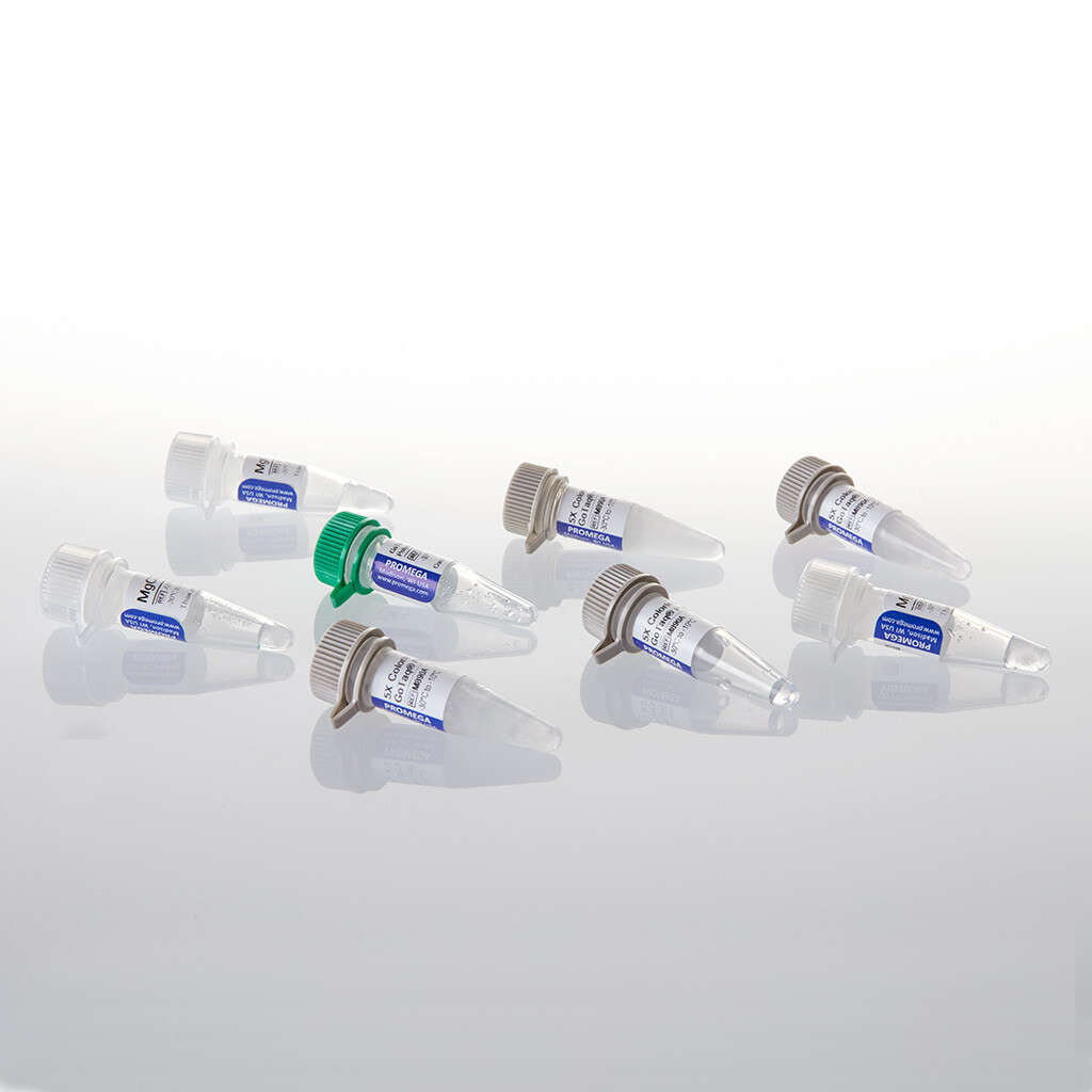 GoTaq MD x HS Polymeras, GF, 5µ / µl, 500u