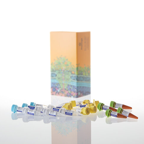 Plexor HY System, 800 rxn