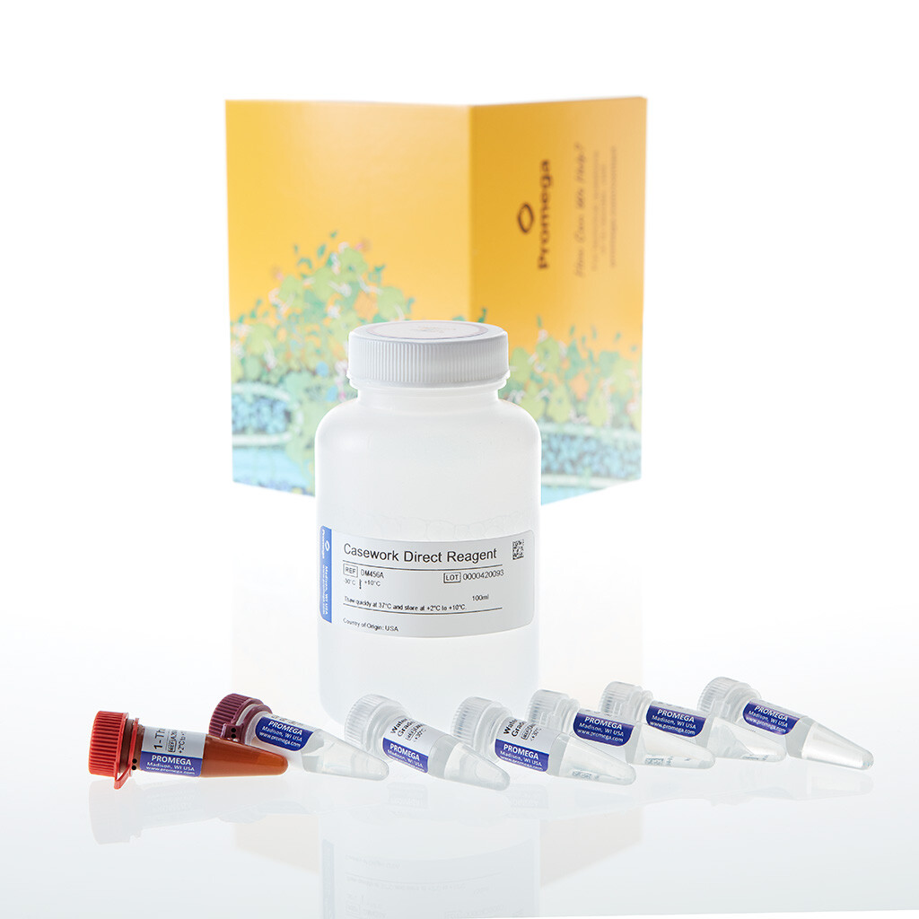 Casework Direct System, 100 ml