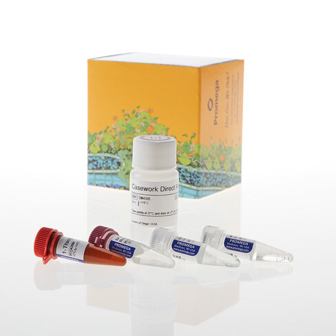 Casework Direct System, 10 ml