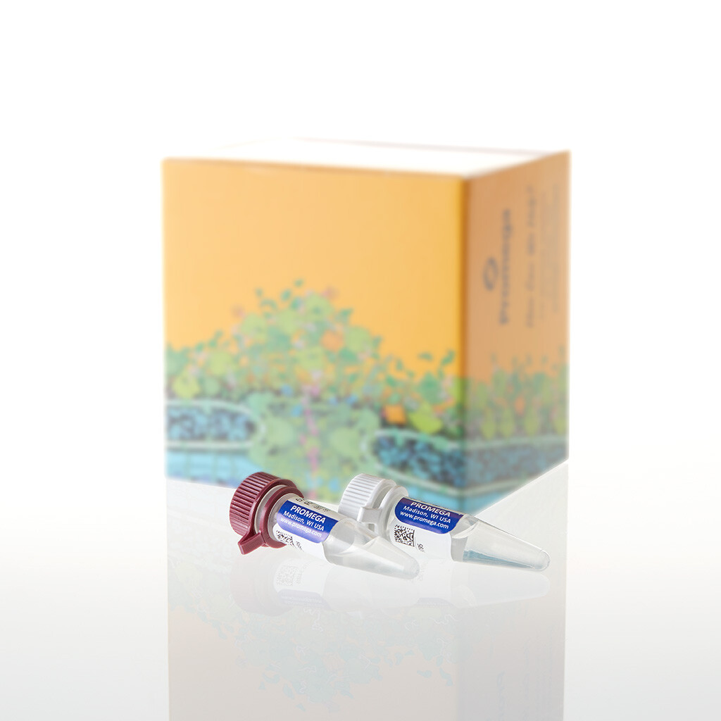 PunchSolution Kit, 100 preps