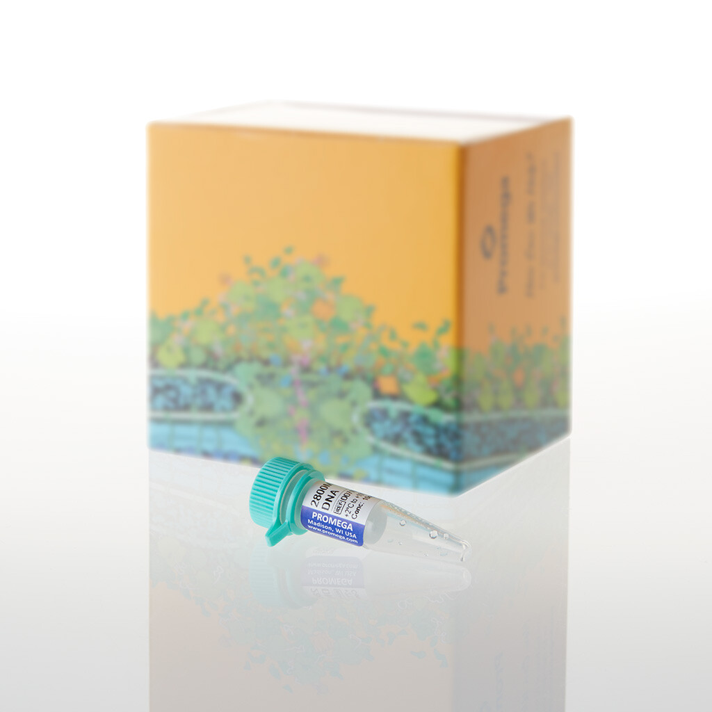 2800 M Control DNA, 10 ng / µl, 25 µl