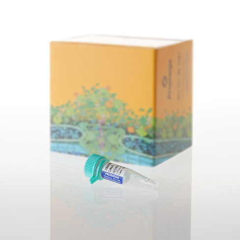 2800 M Control DNA, 10 ng / µl, 25 µl