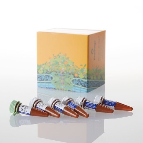 VersaPlex 6C Matrix Standard, 5 Preps