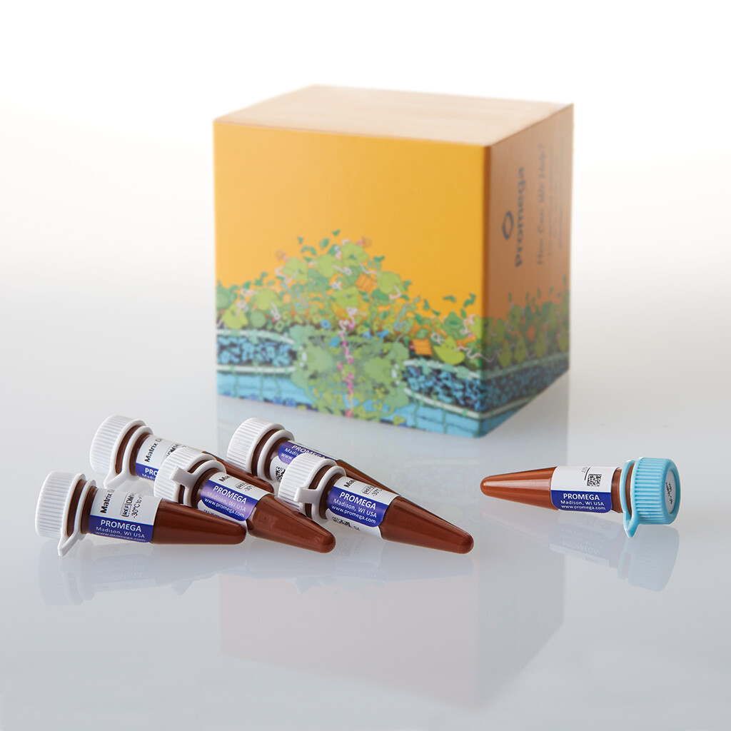 PowerPlex 8C Matrix Standard, 5 preps