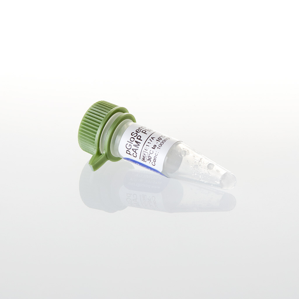 PGloSensor -20F cAMP Plasmid, 20 µg