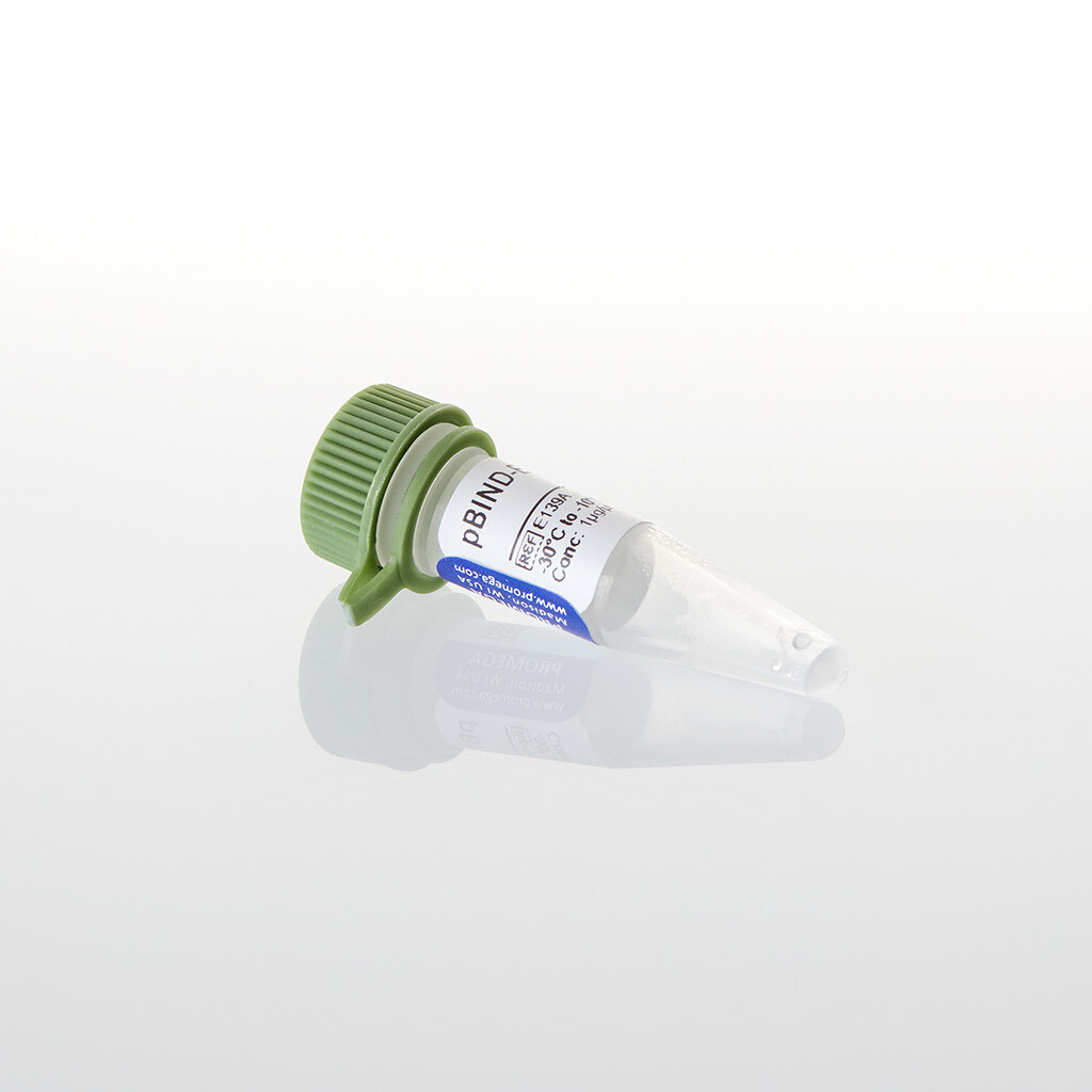 PBIND-ER(alpha) Vector, 20 µg