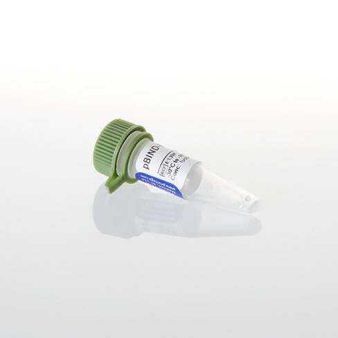 PBIND-ER(alpha) Vector, 20 µg