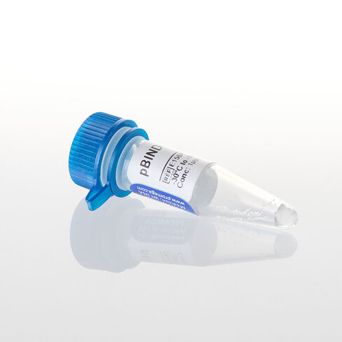 PBIND-GR Vector, 20 µg