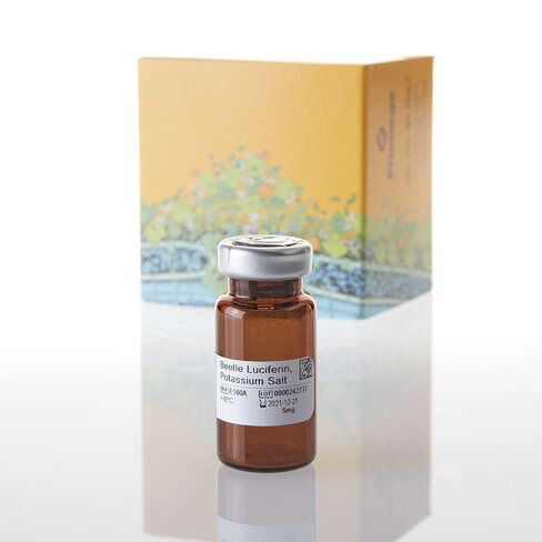 Beetle Luciferin, Potassium Salt, 5mg