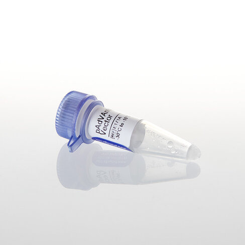 PAdVAntage Vector, 20 µg