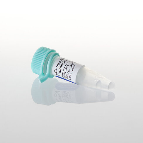 PCI-neo Mammalian Expression Vector,20 µg