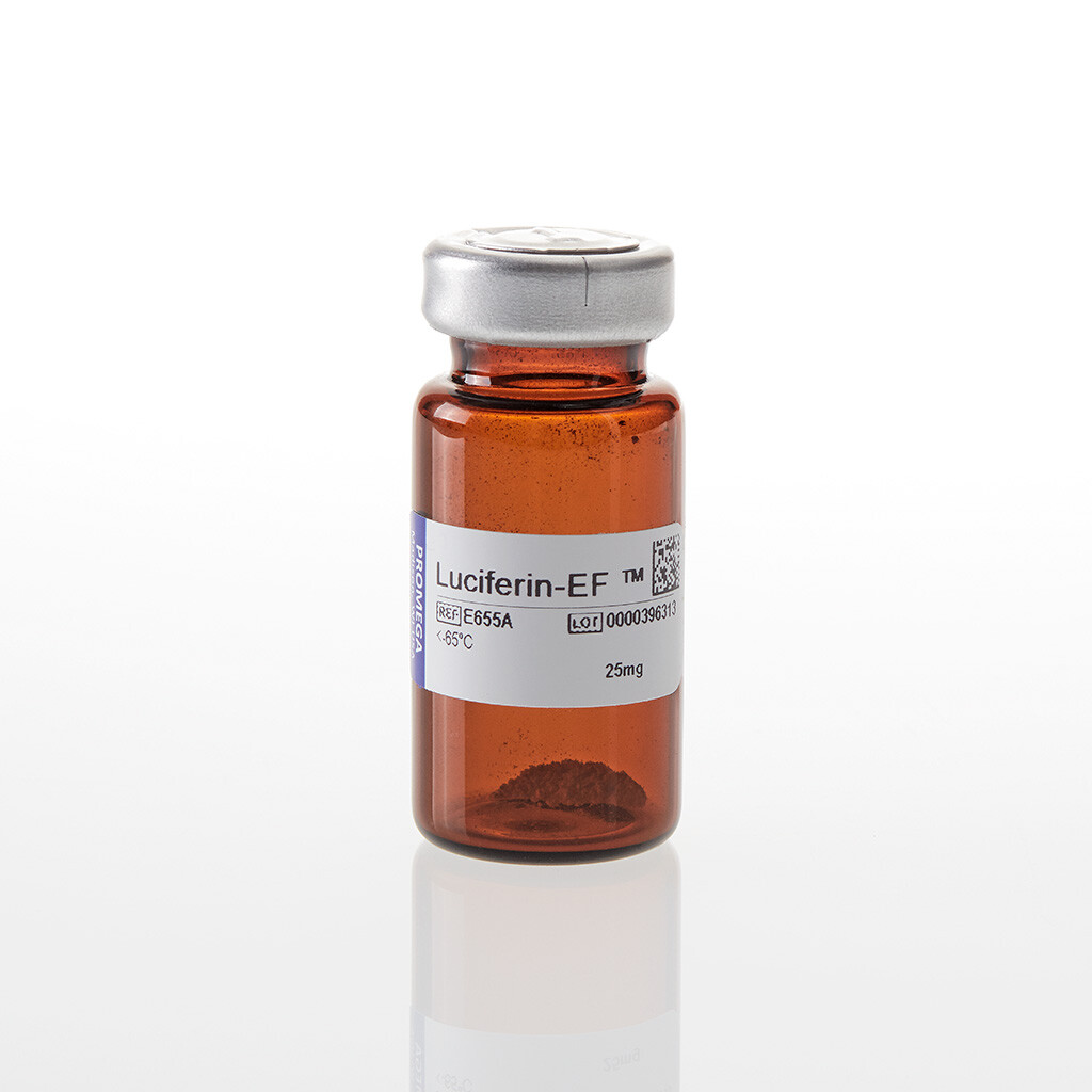 Luciferin-EF , 25 mg