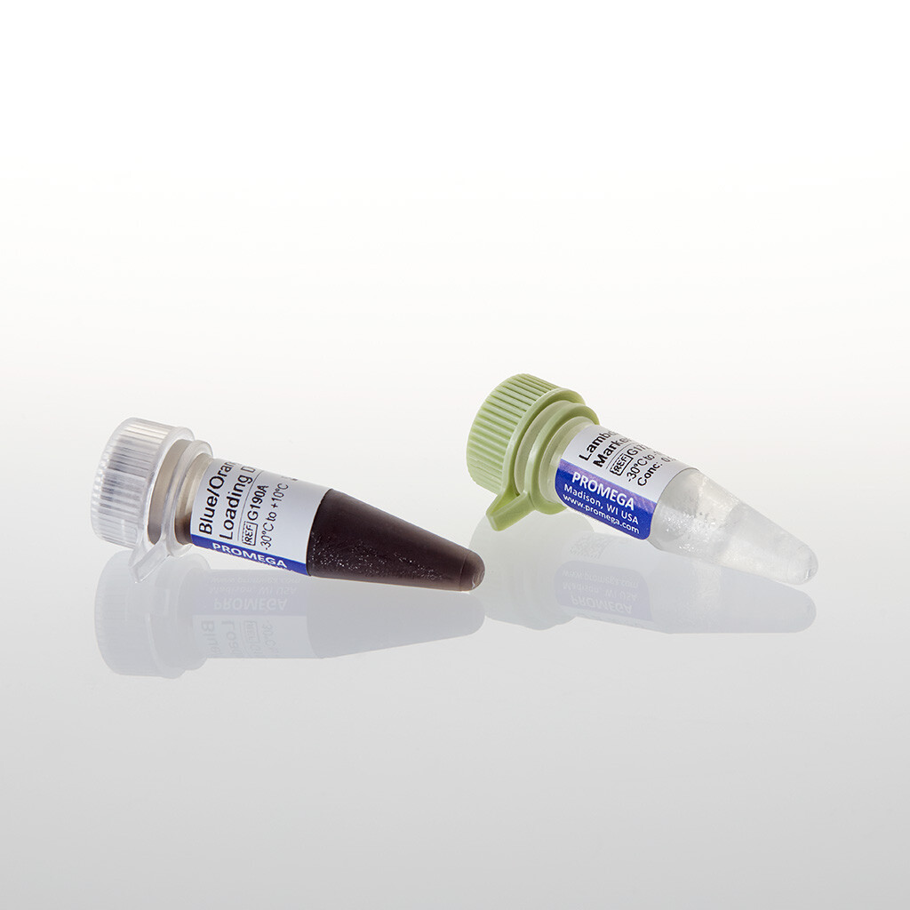 Lambda DNA / EcoR I Markers, 100 µg