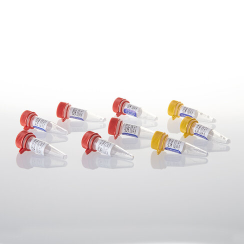 HaloTag Flexi Vectors-CMV Deletion