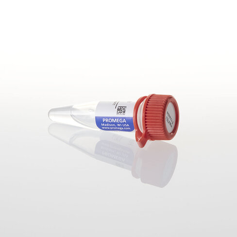 HaloTEV Protease, 200 µl