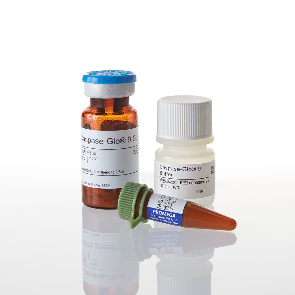 Caspase-Glo 9 Assay, 2,5 ml
