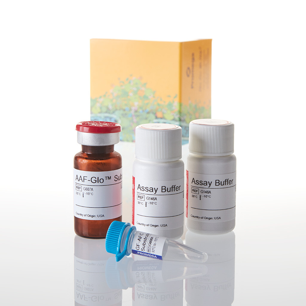 MultiTox-Glo Multiplex Cytotoxicity Assa