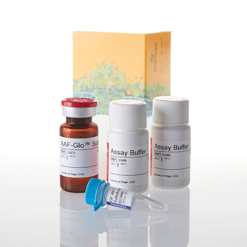 MultiTox-Glo Multiplex Cytotoxicity Assa