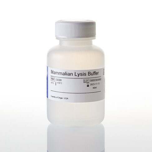 Mammalian Lysis Buffer, 40 ml