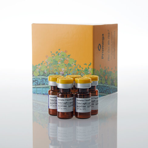 Janelia Fluor 549i HaloTag Ligand 5 pk