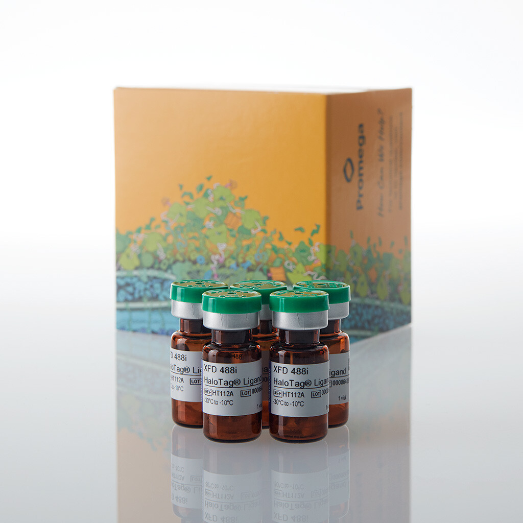 XFD 488i HaloTag Ligand 5 pk