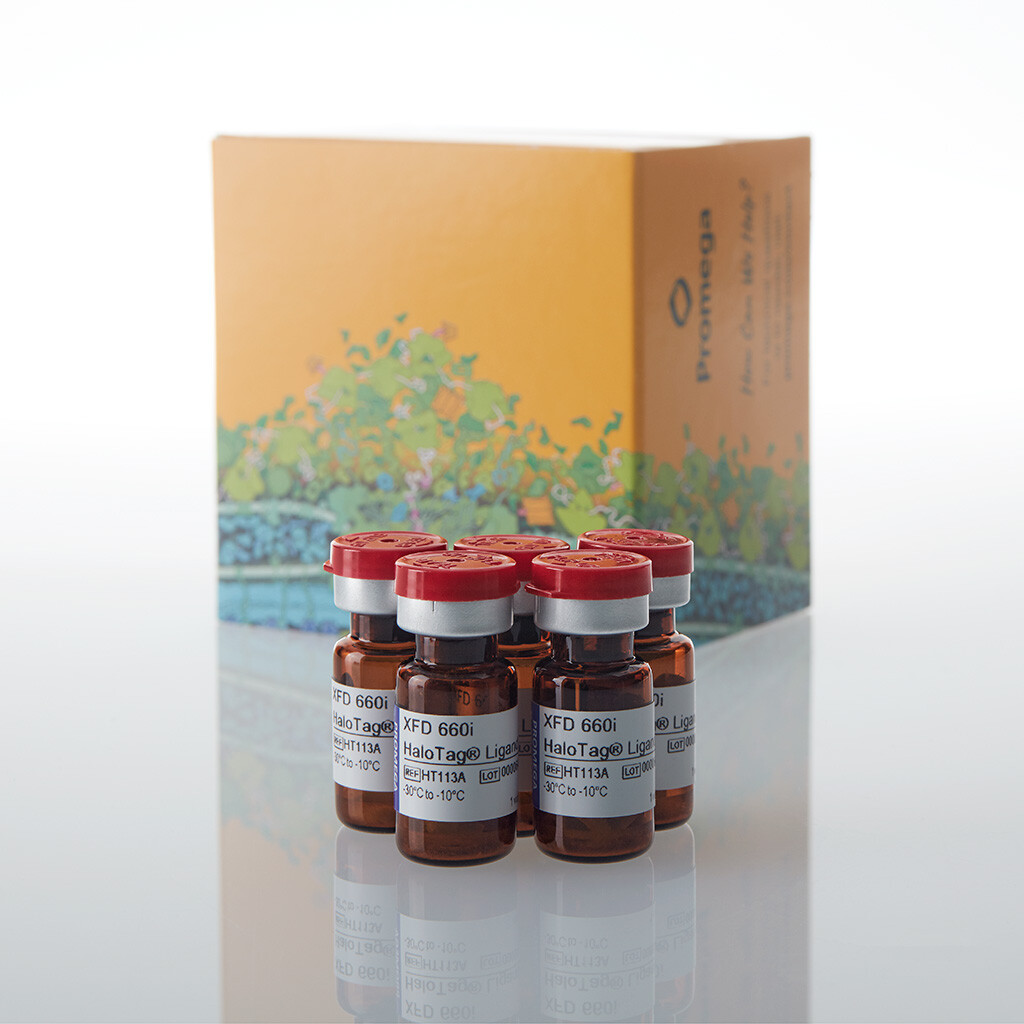 XFD 660i HaloTag Ligand 5 pk