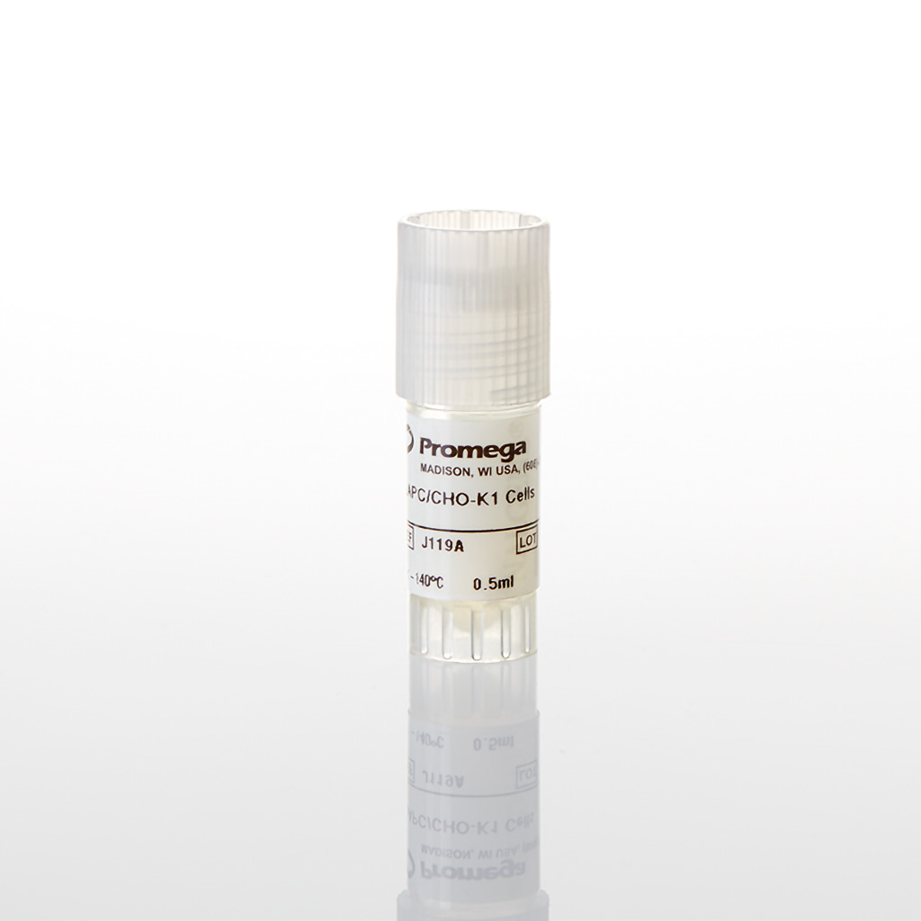 PD-L1 Negative Cells