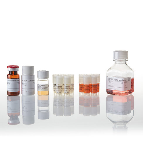 TIGIT/CD155 Blockade Bioassay 5X