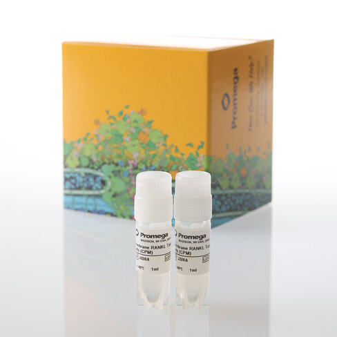 Membrane RANKL Target Cells, CPM