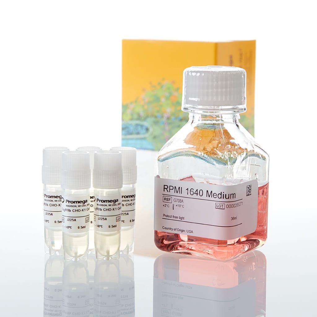 Fc?RIIb CHO-K1 Cells 5X