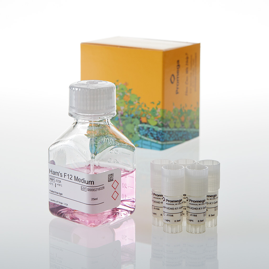 AAPC/CHO-K1 Cells 5X