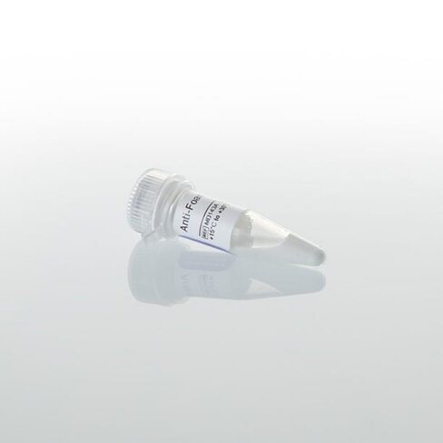 Anti-Foam Reagent, 300 µl