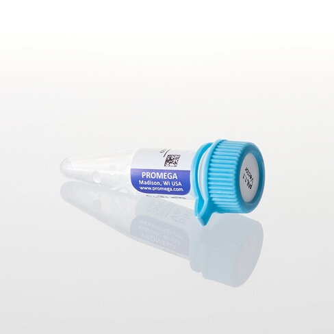 PNL1.1 [Nluc] Vector