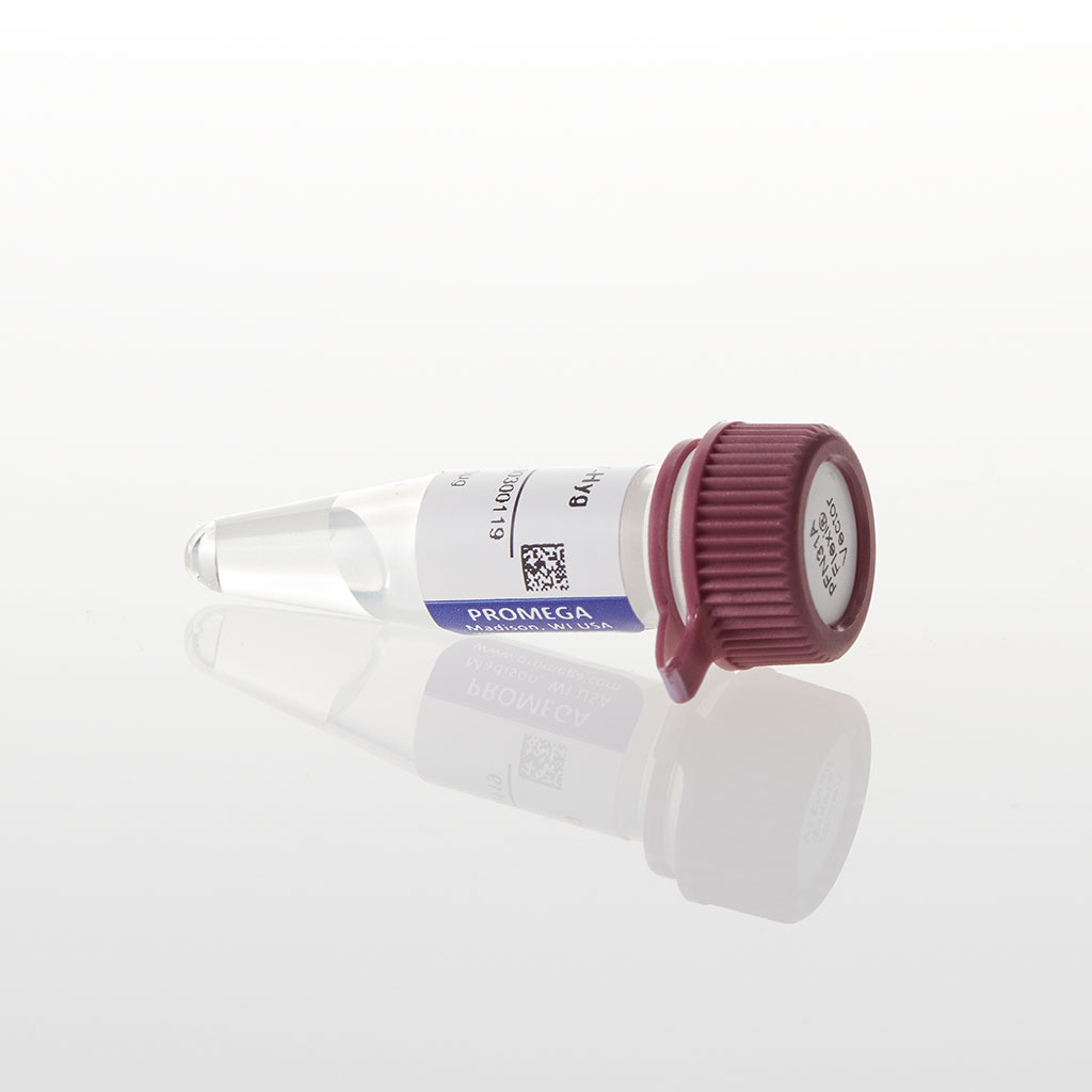 PFN31K NLuc CMV-neo Flexi Vector