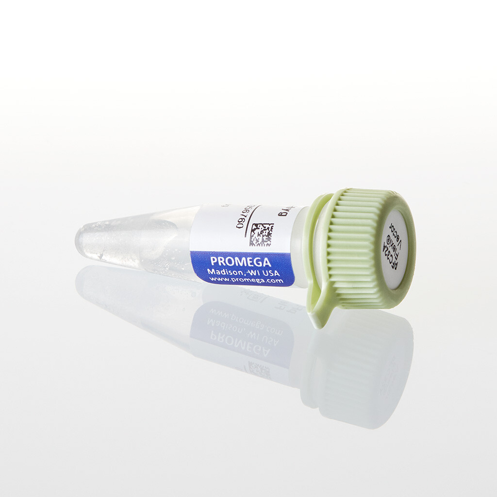 PFC32A NLuc CMV-Hygro Flexi Vector