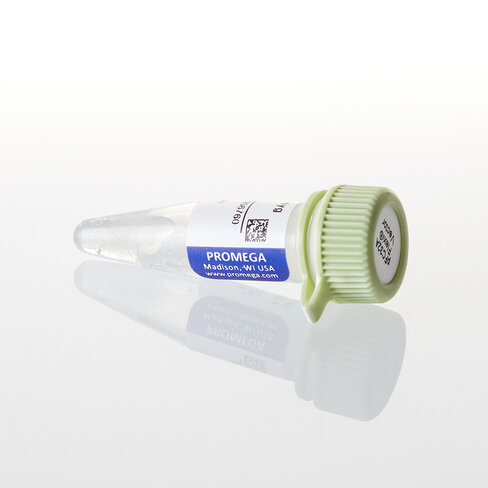 PFC32A NLuc CMV-Hygro Flexi Vector