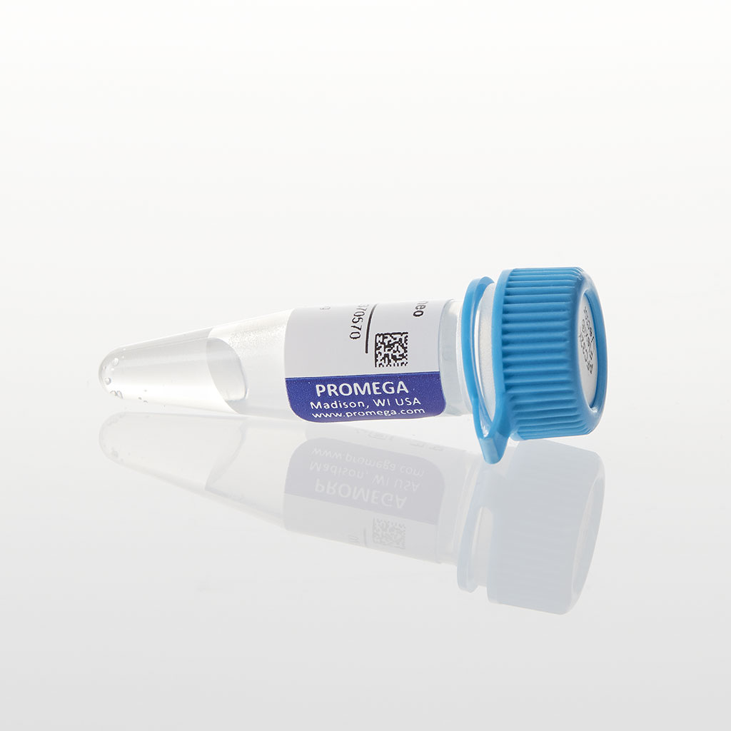 PFC32K NLuc CMV-neo Flexi Vector