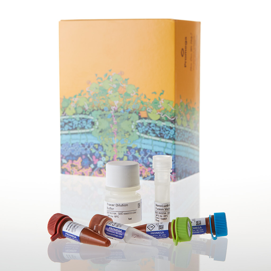 NanoBRET TE Intracellular HDAC As 100