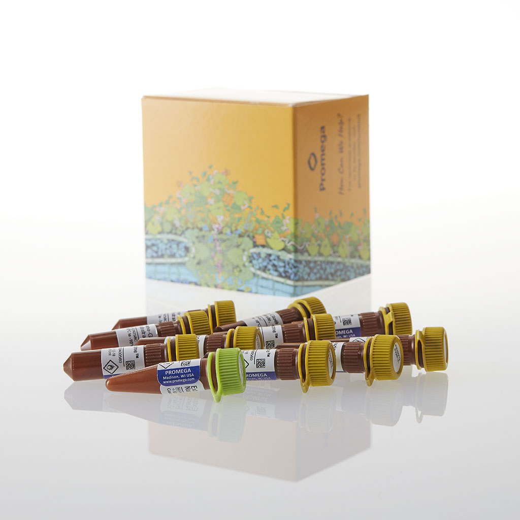 Intracellular TE Nano-Glo Vivaz/Inhibit