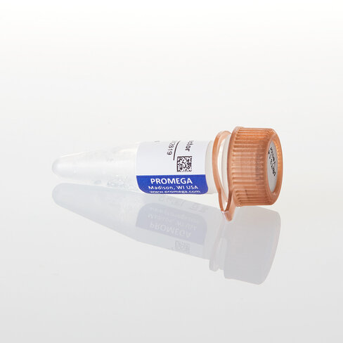 PBiT3.1-N [CMV/HiBiT/Blast] Vector