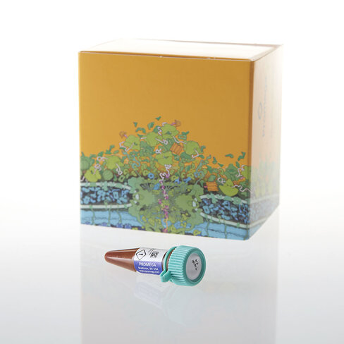 NanoBRET TE Tracer K-5, 550 µl