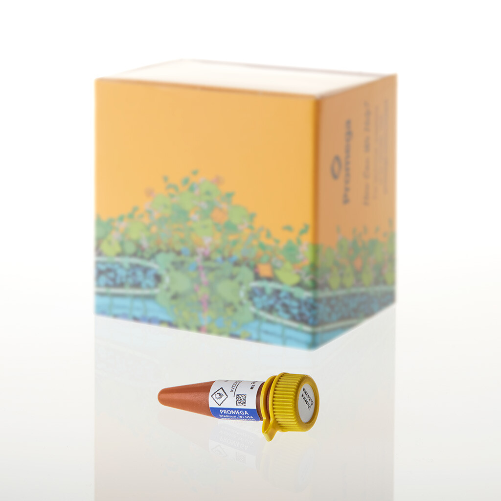 Nano-Glo Vivazine Live Cell Sub, 0,1 ml