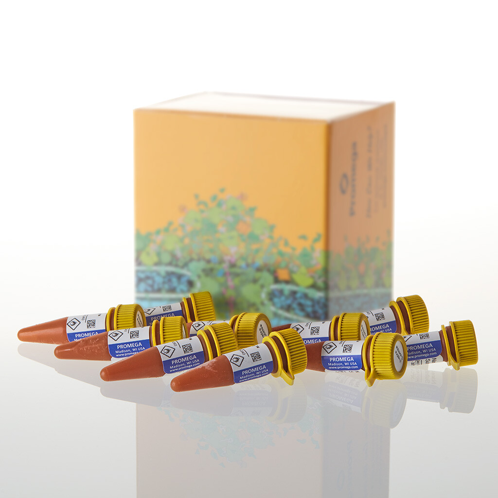 Nano-Glo Vivazine Live Cell Sub, 10 ml