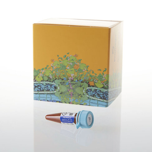 NanoBRET TE Tracer K-8, 300 µl