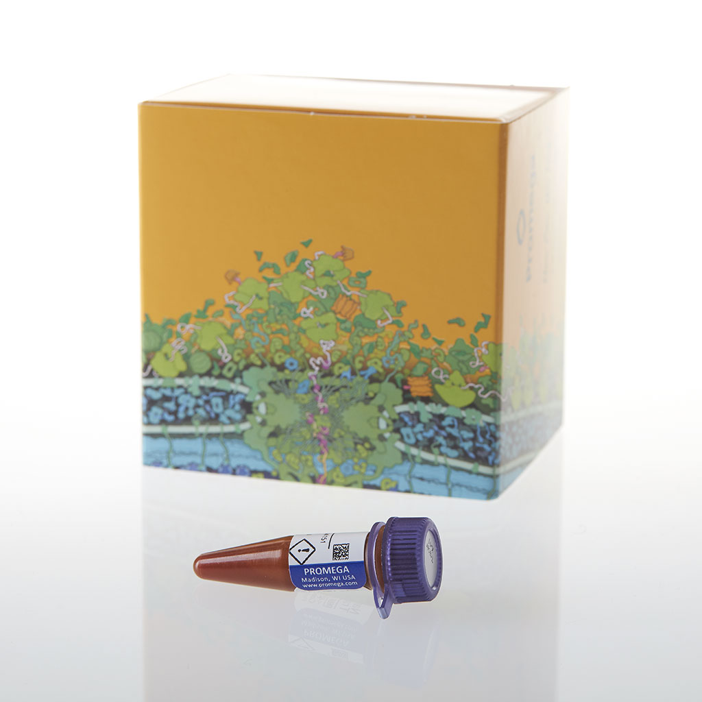 NanoBRET TE Tracer K-11, 300 µl