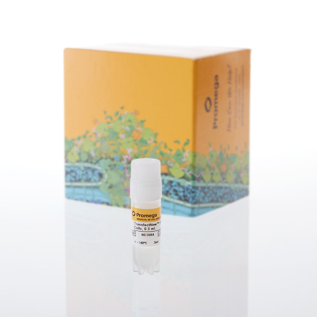 TransfectNow HEK293 Cells, 1 x 0,5 ml