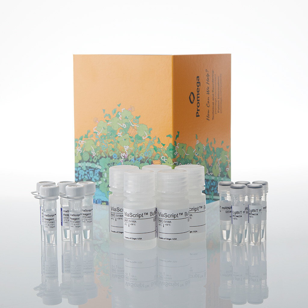 ViaScript LgBiT mRNA Delivery System